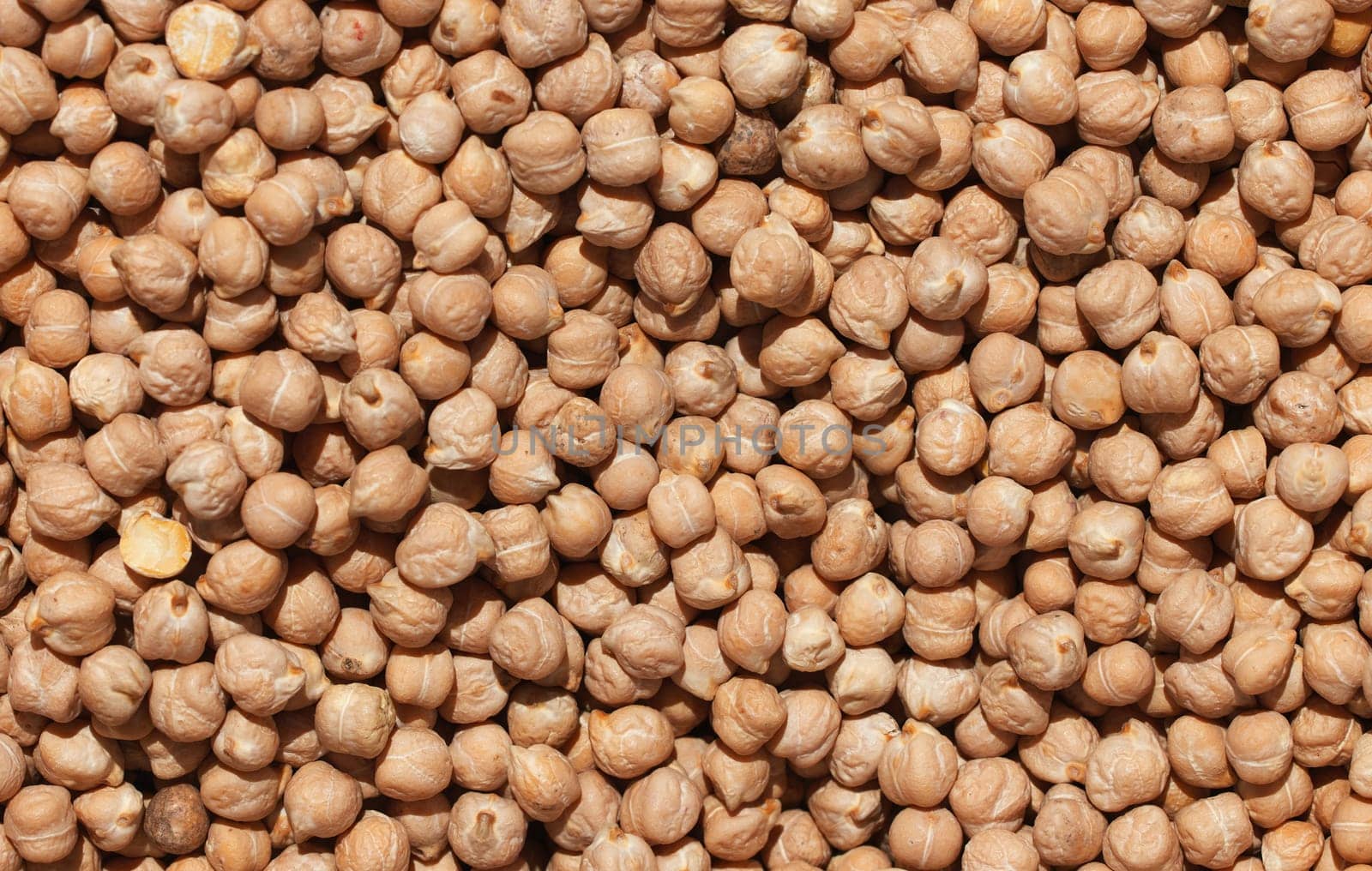 Raw chickpea beans. Top view on chickpea seeds. Food background from a texture of raw chickpeas close-up, top view. Uncooked chickpea