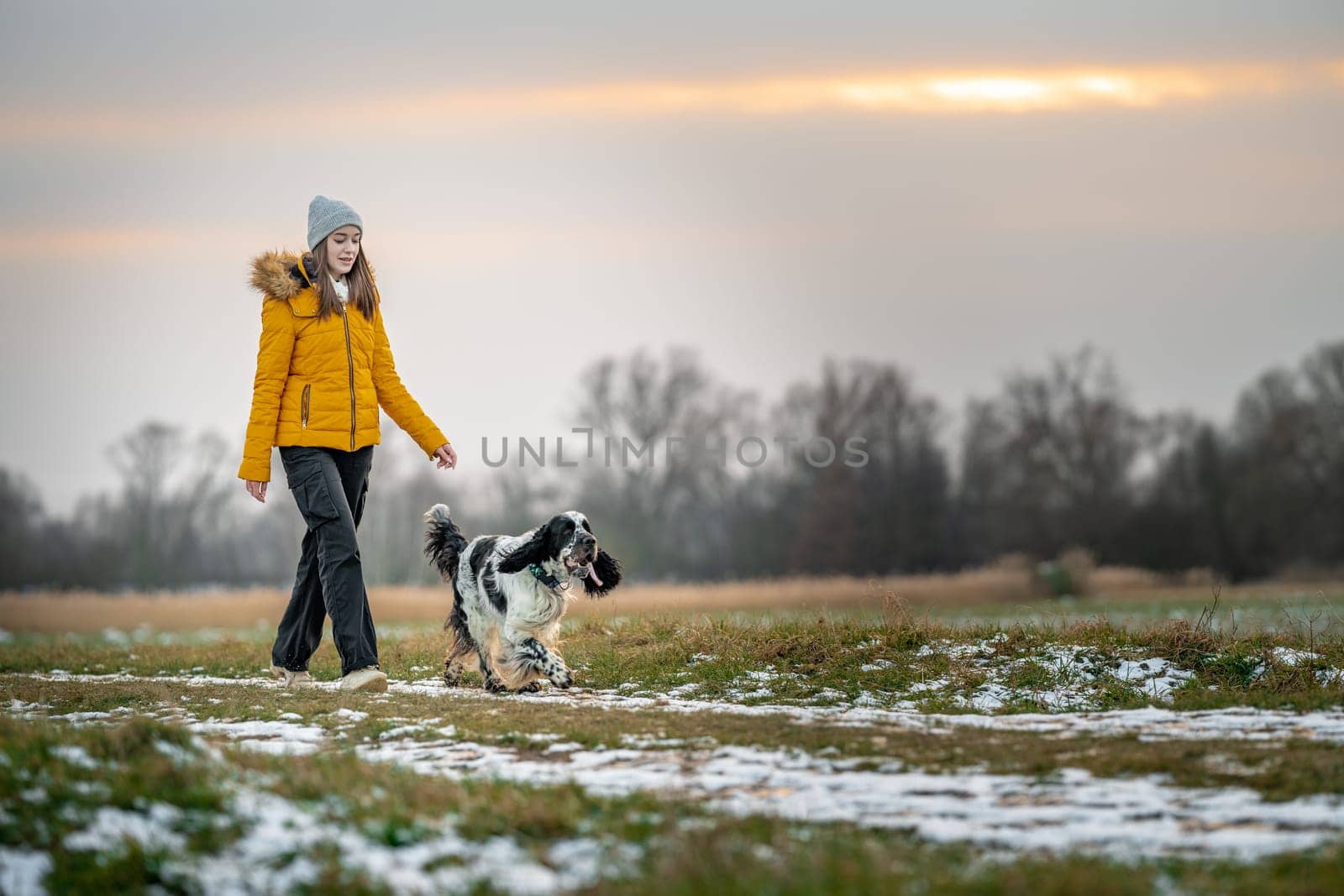 a walk with the dog in the park in nature. High quality photo