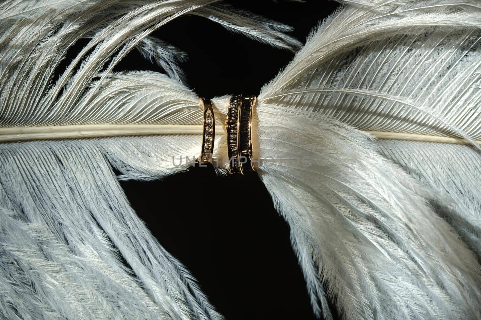 Two wedding rings lie in white feathers. The concept of love.