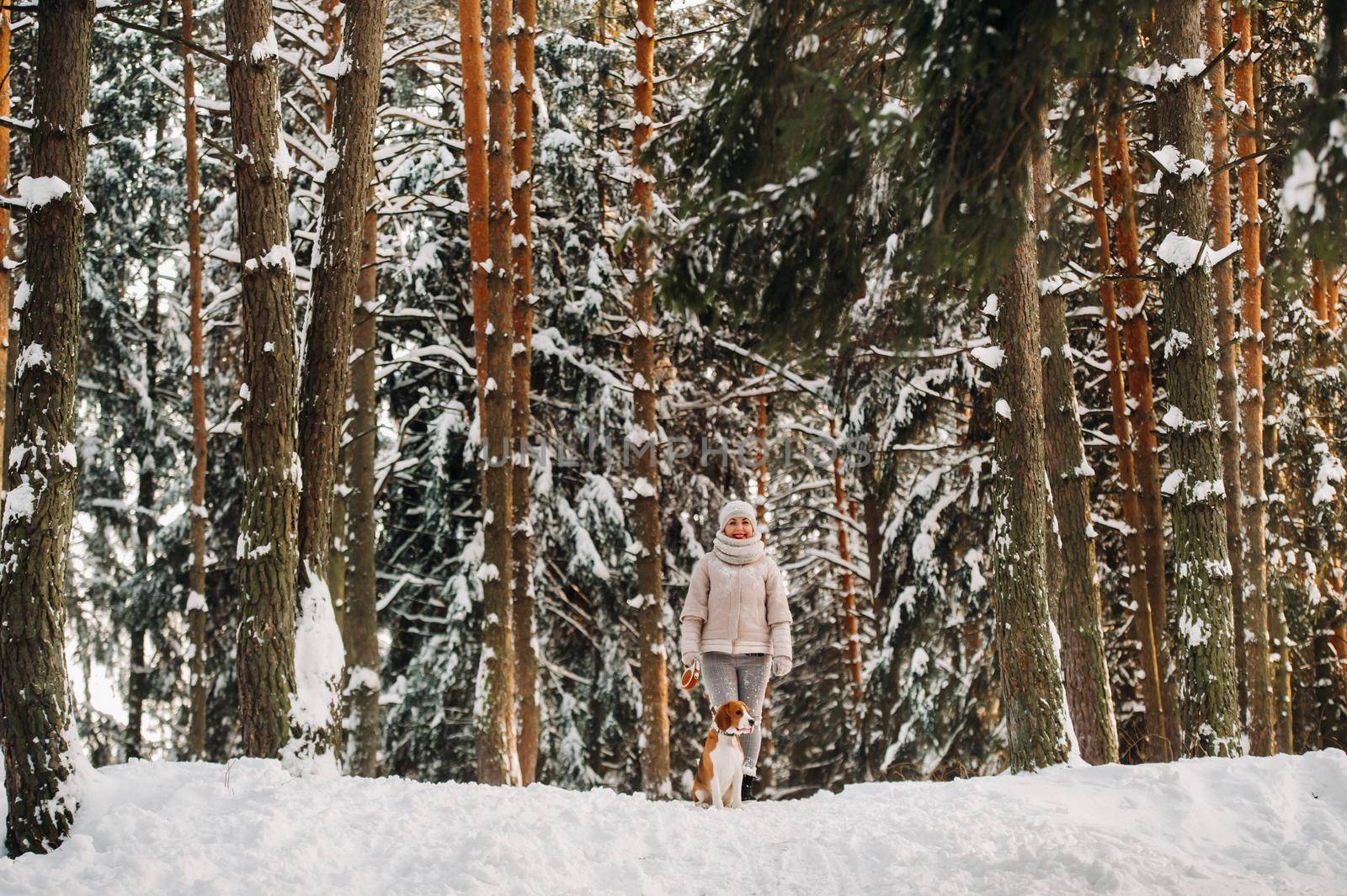 a woman on a winter day with her pet dog beagle in the winter forest playing.