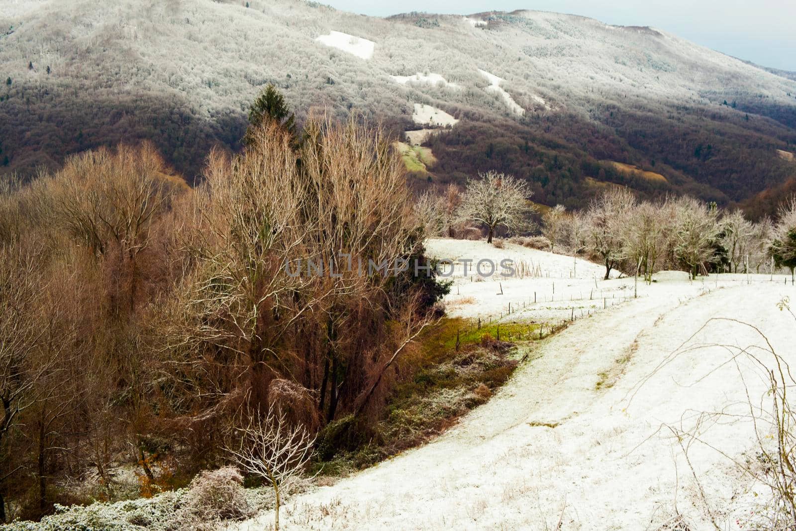 View of Slovenian mountains covered by snow