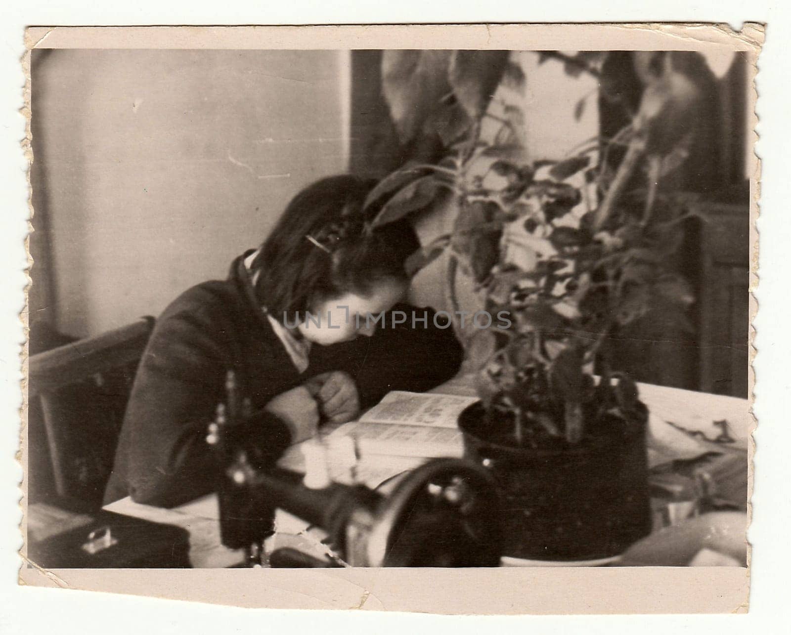 Vintage photo shows girl reads the book. by roman_nerud