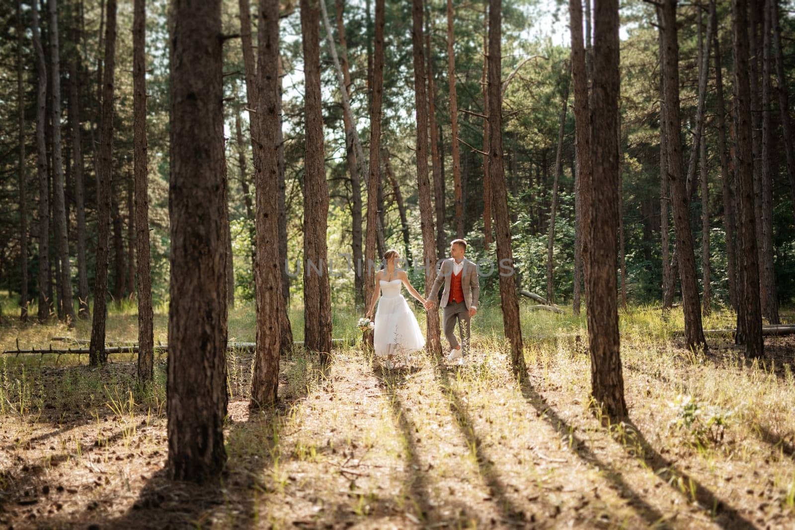 young couple bride in a white short dress and groom in a gray suit in a pine forest among the trees