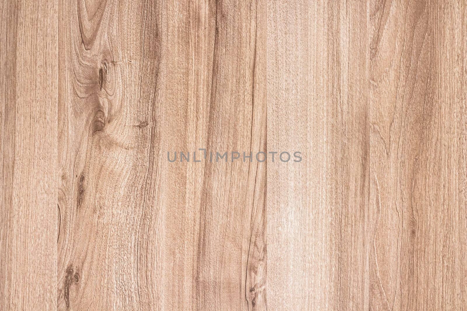 Wood texture background. Light brown surface of old knotted wood with natural color.