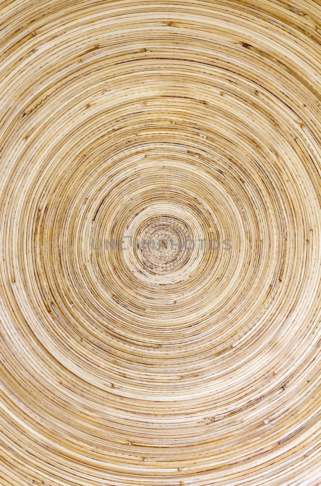 Top view closeup of brown slice of freshly cut wood texture with dense concentric growth rings.