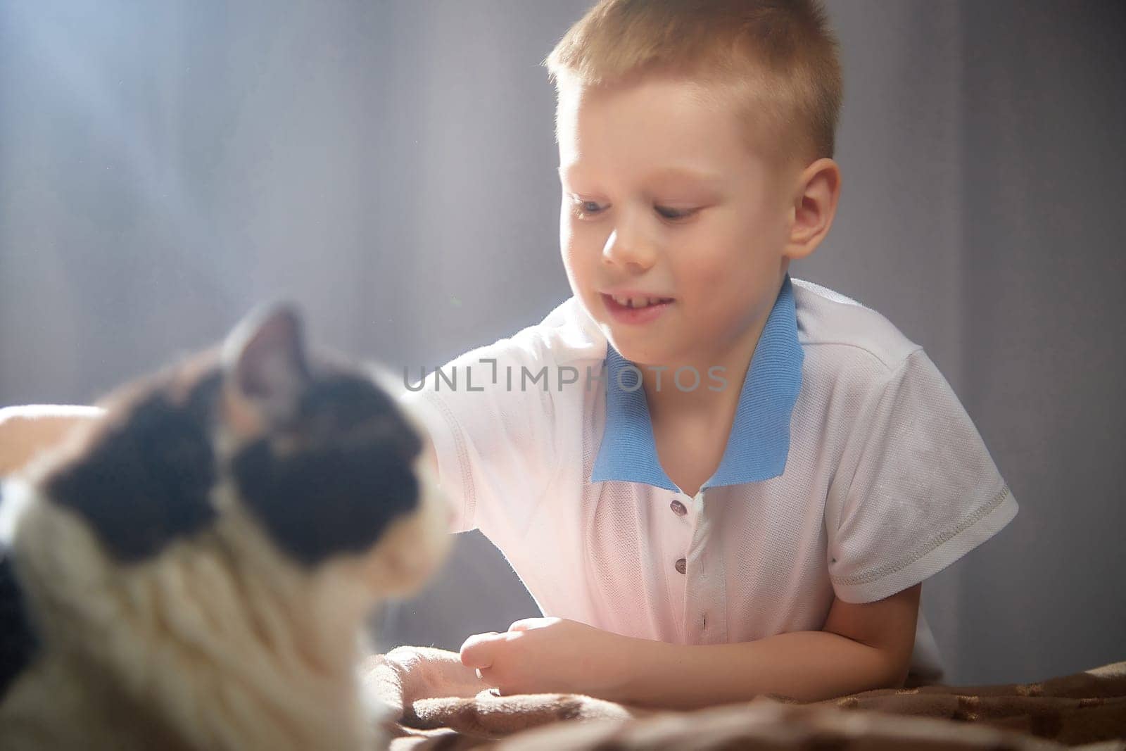 Cute little boy playing with white and black cat in photo studio with white fabric background. Concept of friendship of child and pet