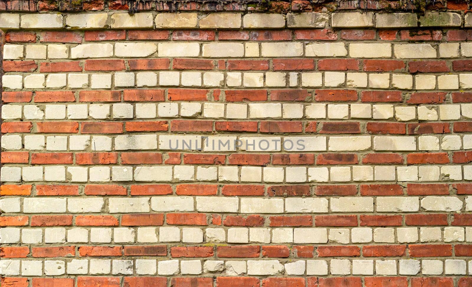 Abstract background brick red and white wall. by electrovenik