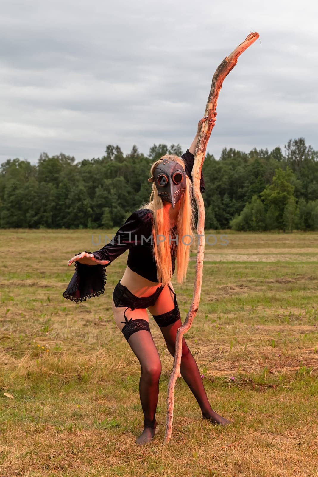 A young woman wearing a black raven mask poses with a dry tree branch in a serene countryside field.