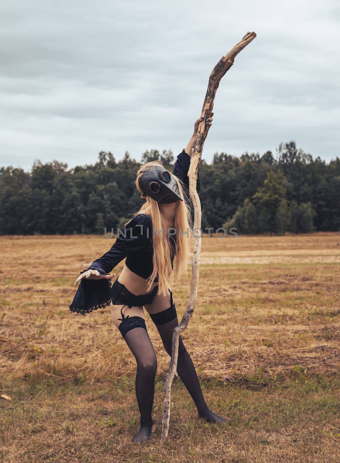 Woman with raven mask poses in countryside. by palinchak