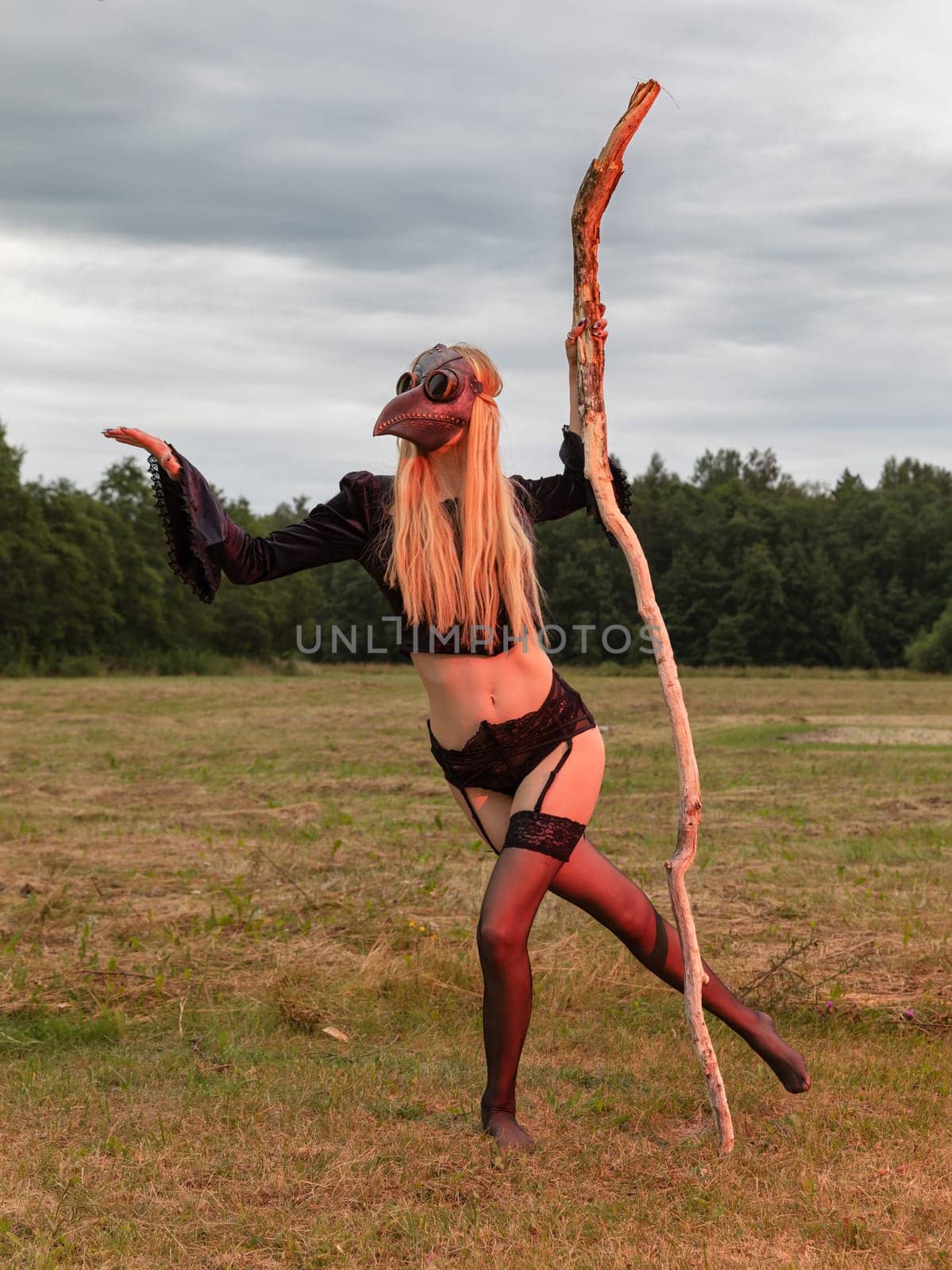 A young woman wearing a black raven mask poses with a dry tree branch in a serene countryside field.