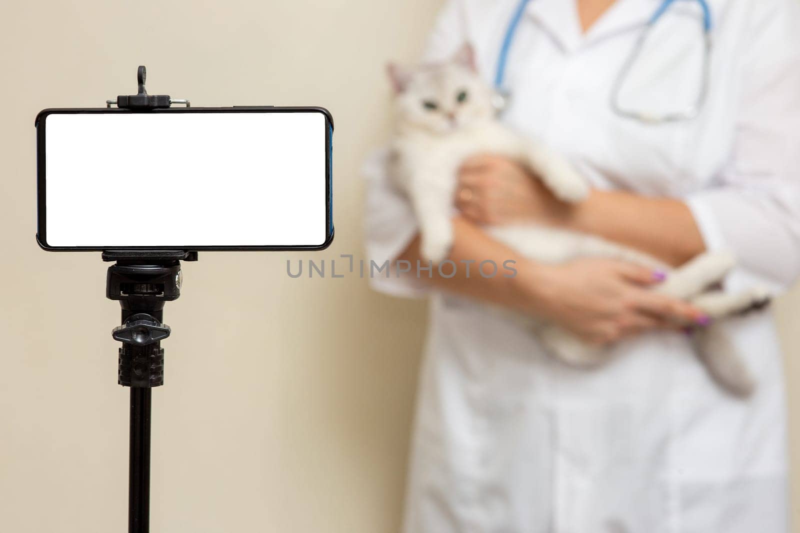 A smartphone with a white blank screen stands on a tripod, behind a female veterinarian in a white coat, holding a white cat in her arms. Copy space