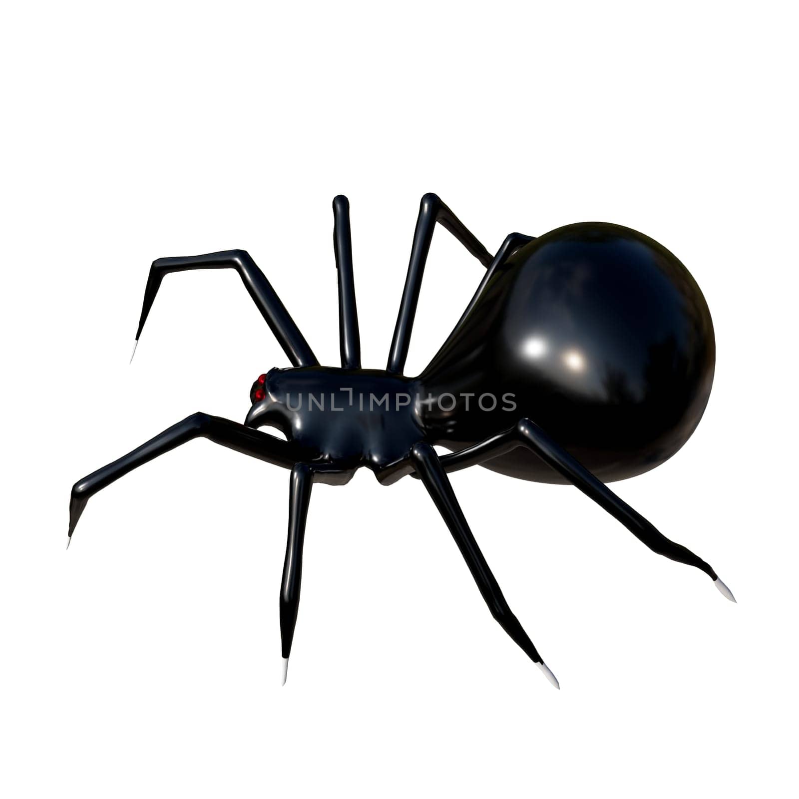 Realistic spider 3d rendering for Halloween decoration.