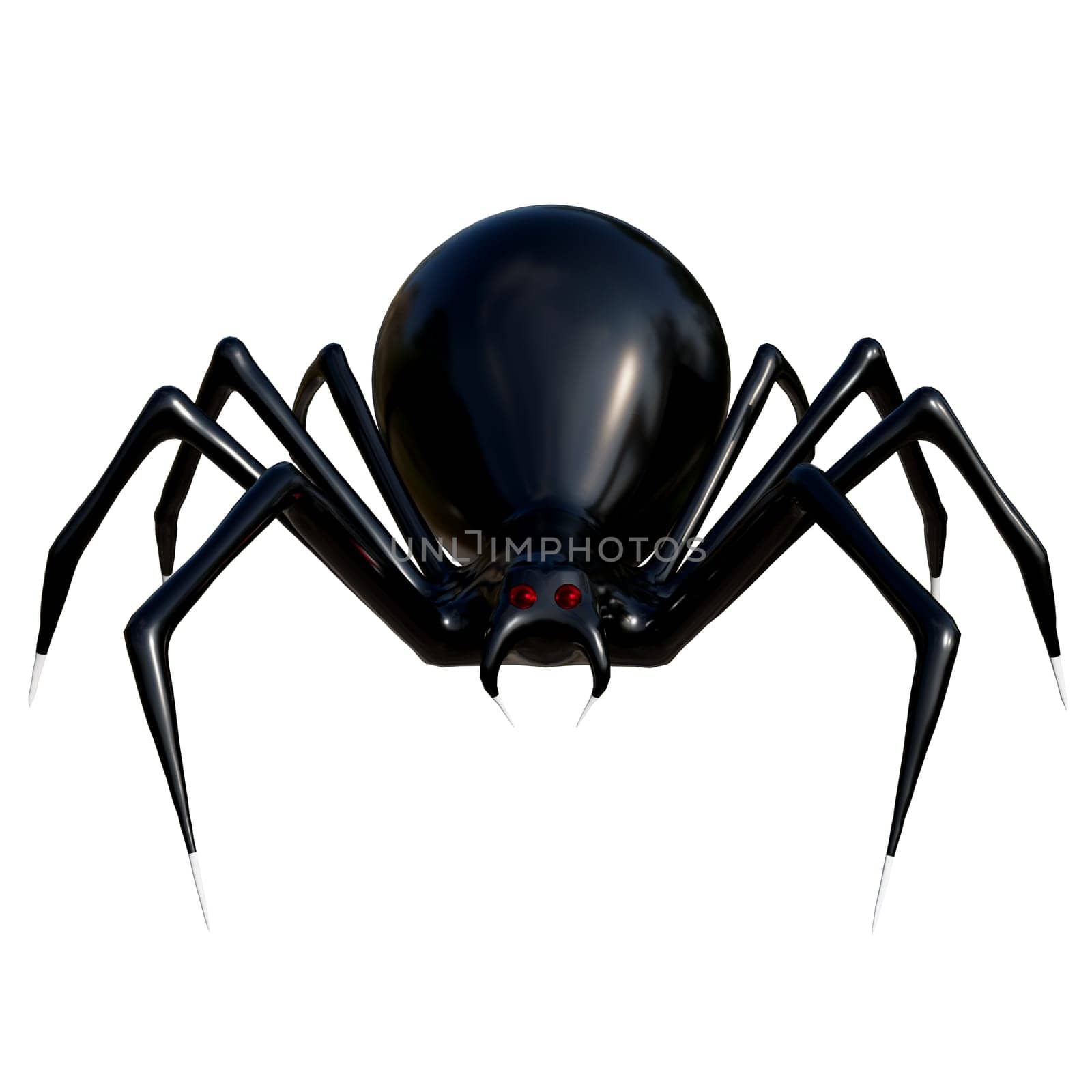 Realistic spider 3d rendering by samunella