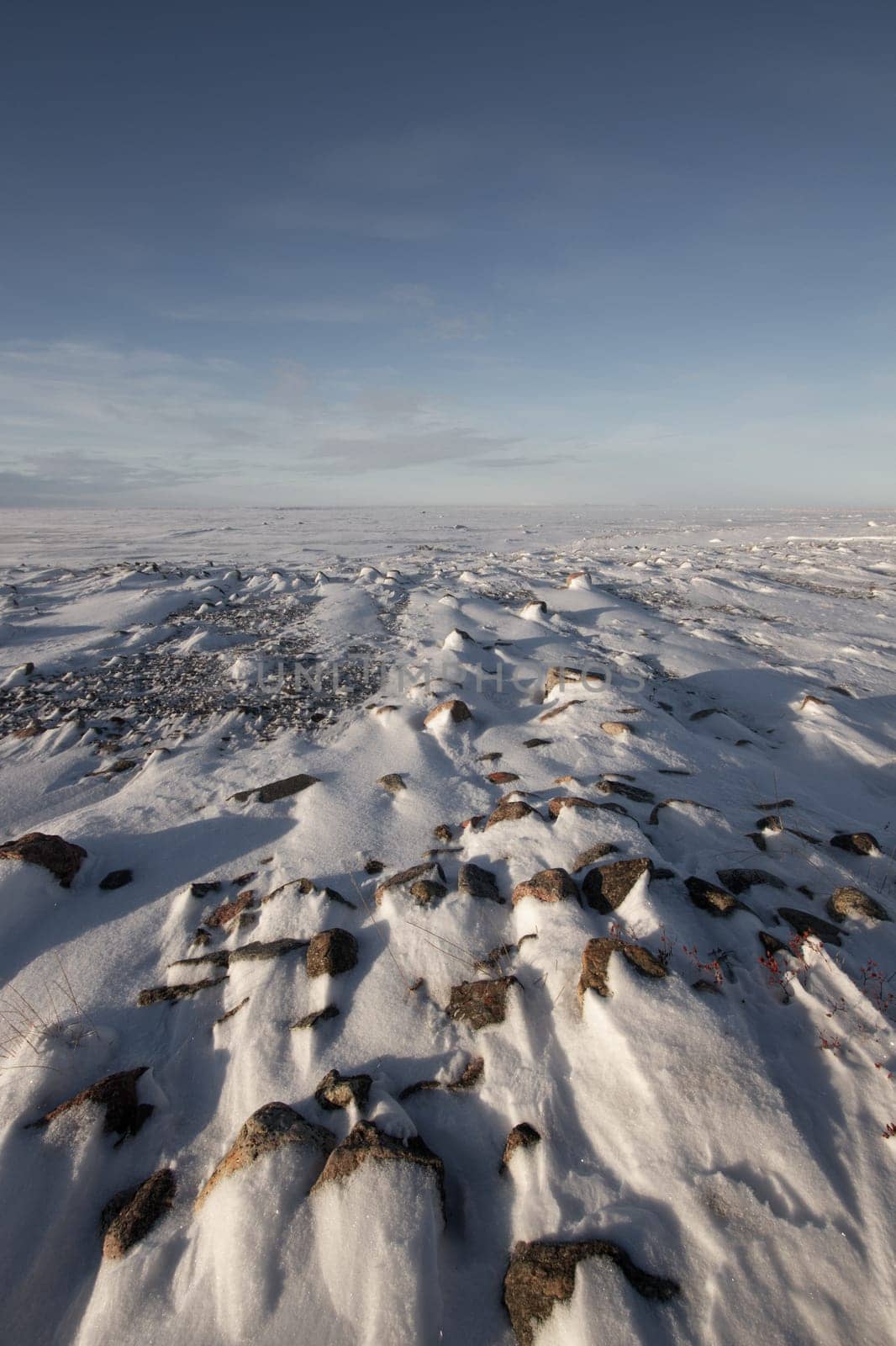 Frozen arctic landscape with snow on the ground near Arviat, Nunavut by Granchinho