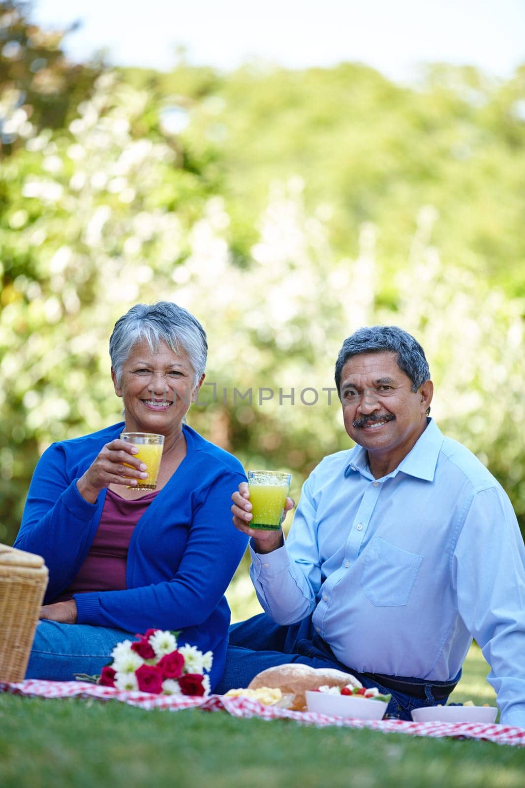 Heres to living life. a loving senior couple enjoying a picnic together outdoors