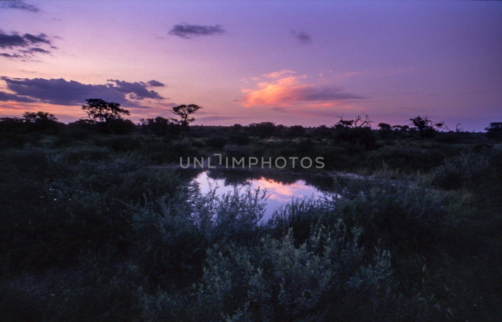 Xaxa, Central Kalahari Game Reserve, Ghanzi, Botswana, Africa