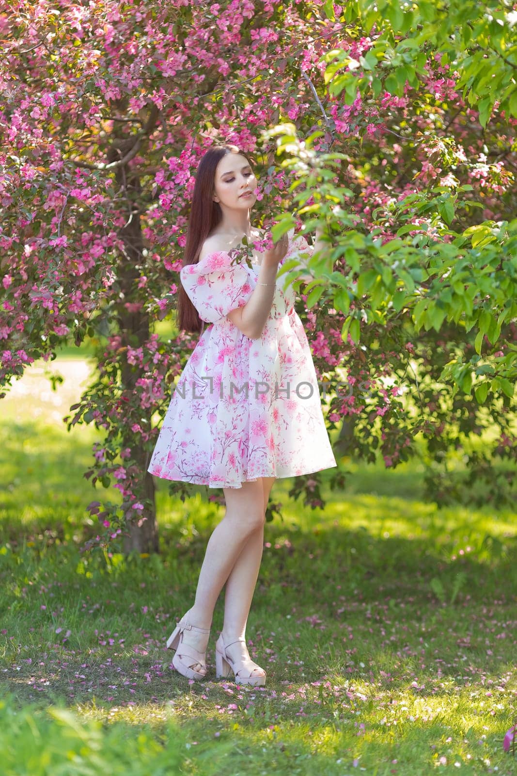 A elegant girl in a light pink dress standing near pink blooming trees, holding a blooming branch, in the garden. Vertical. Close up. Copy space