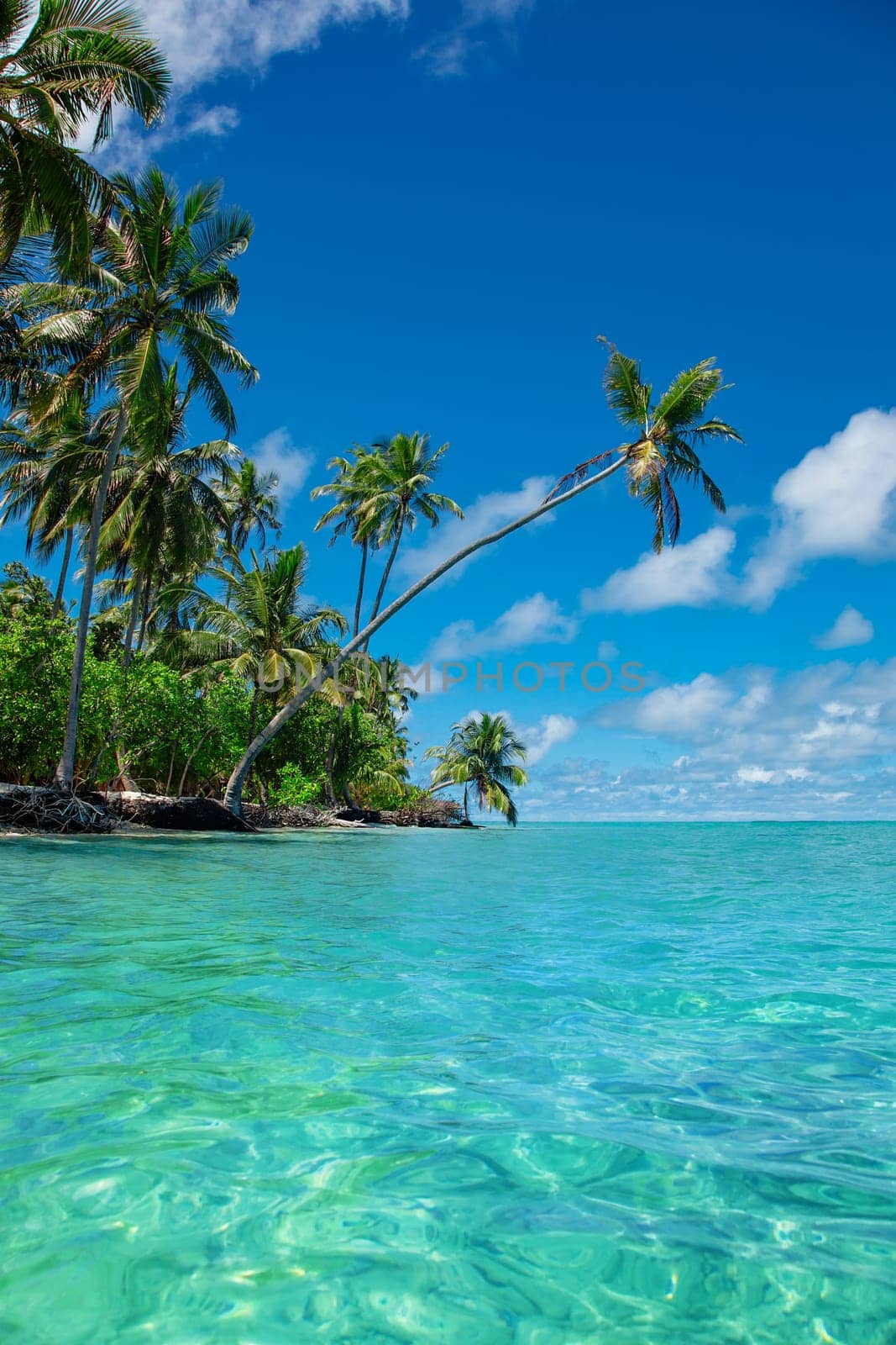 Exotic paradise Maldive resort lagoon bay view by kisika