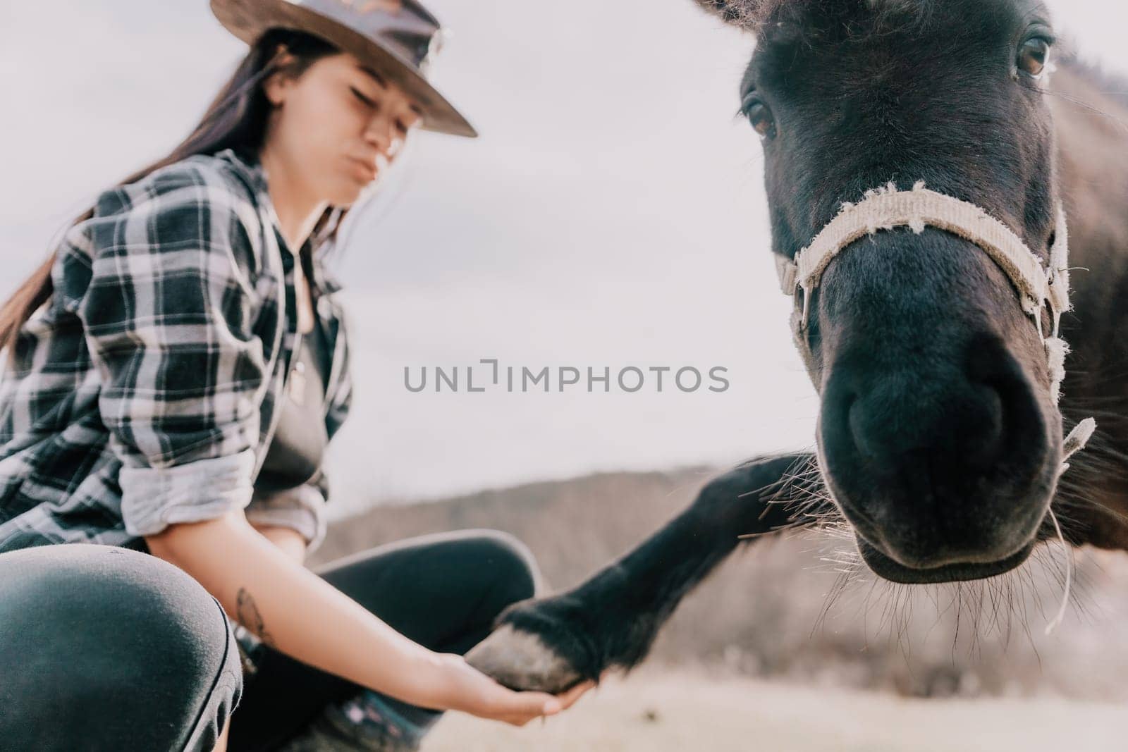 Cute happy young woman with horse. Rider female drives her horse in nature on evening sunset light background. Concept of outdoor riding, sports and recreation.