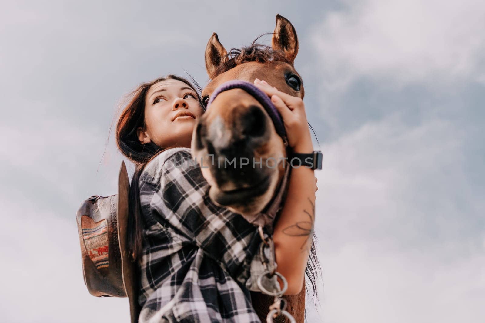 Cute happy young woman with horse. Rider female drives her horse in nature on evening sunset light background. Concept of outdoor riding, sports and recreation.