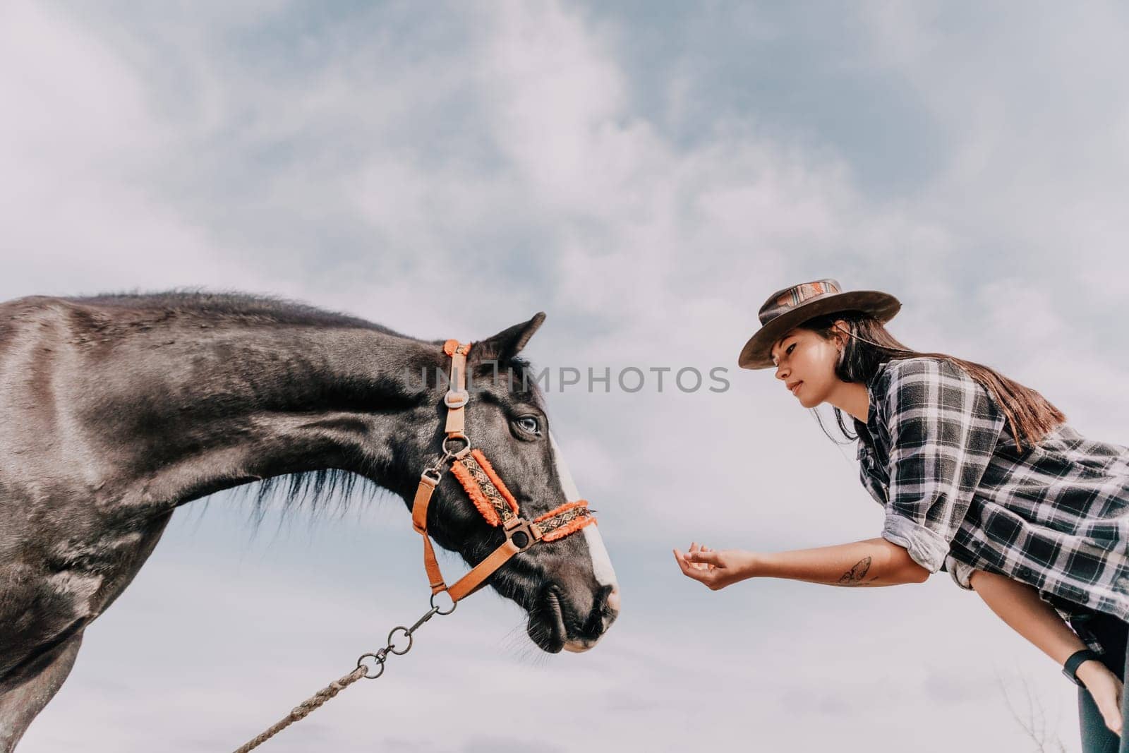 Cute happy young woman with horse. Rider female drives her horse in nature on evening sunset light background. Concept of outdoor riding, sports and recreation.