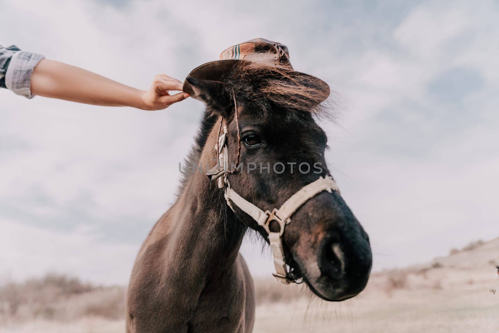Cute happy young woman with horse. Rider female drives her horse in nature on evening sunset light background. Concept of outdoor riding, sports and recreation.