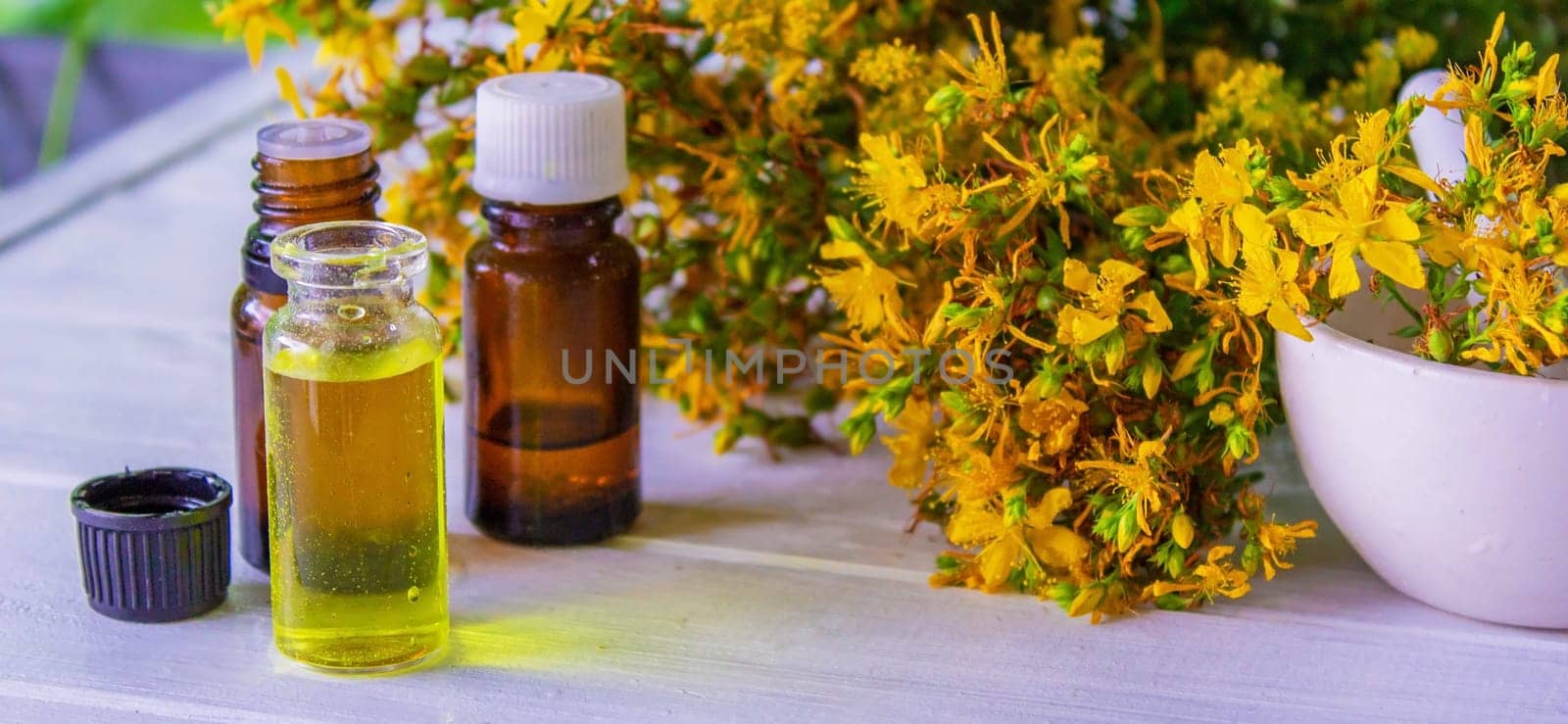 St. John's wort essential oil in a small bottle. Selective focus. Nature.
