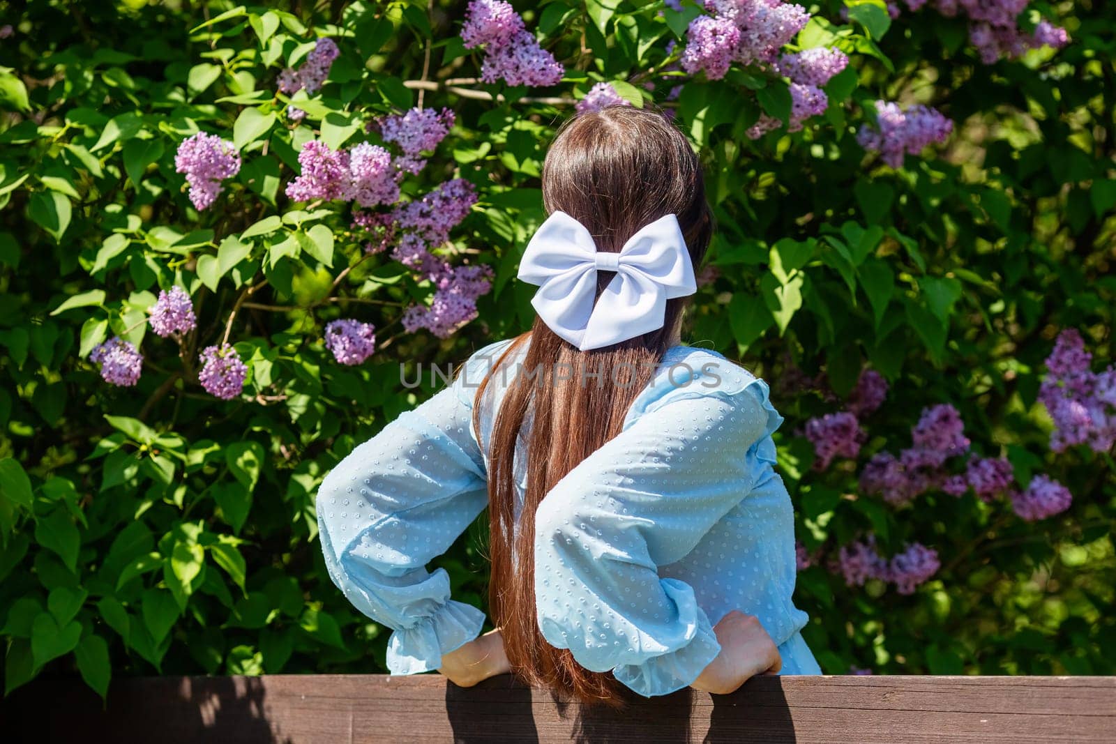 romantic brunette girl with long hair with white bow, in light blue dress, stands in the lilacs garden, nearby blooming lilac bush , in sunny day. Back view. Close up. copy space