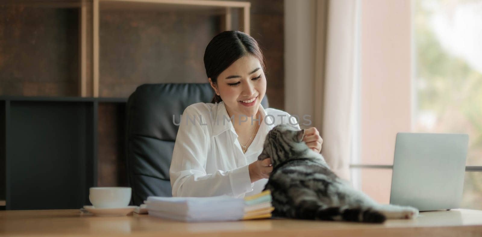 happy Asian business woman work from home office sitting at desk with cat using laptop..