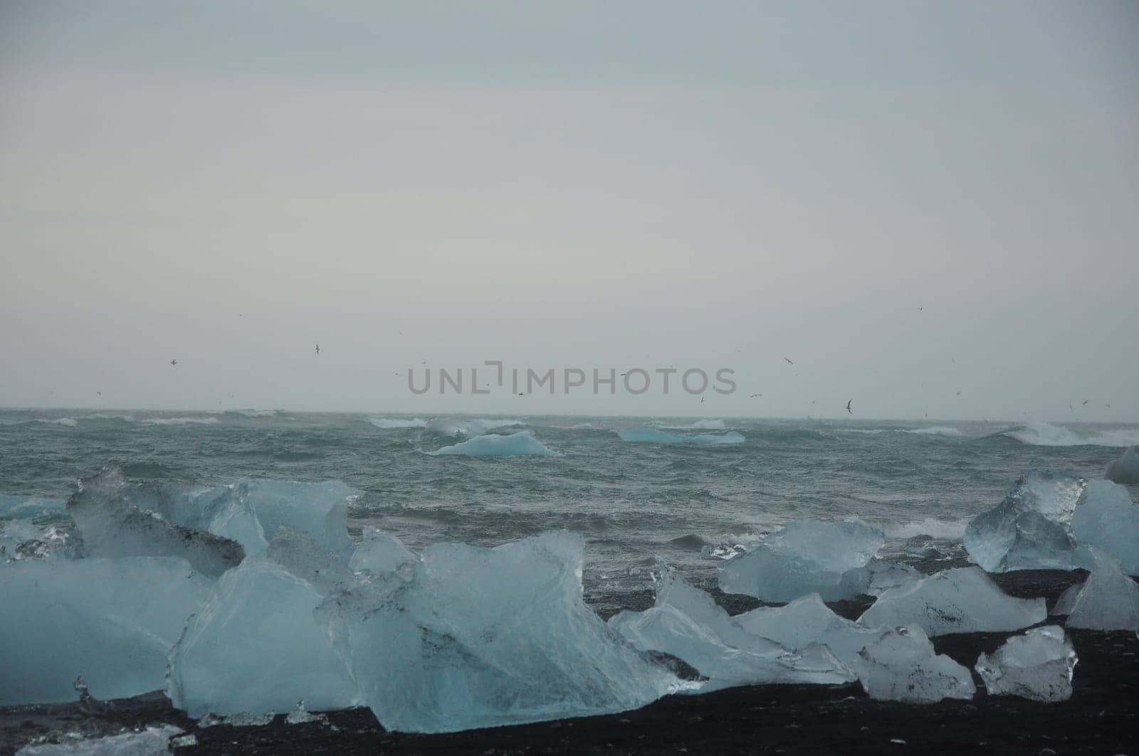 Black sand and crystal clear ice chunks at Diamond Beach in Fellsfjara, Jokulsarlon on Iceland