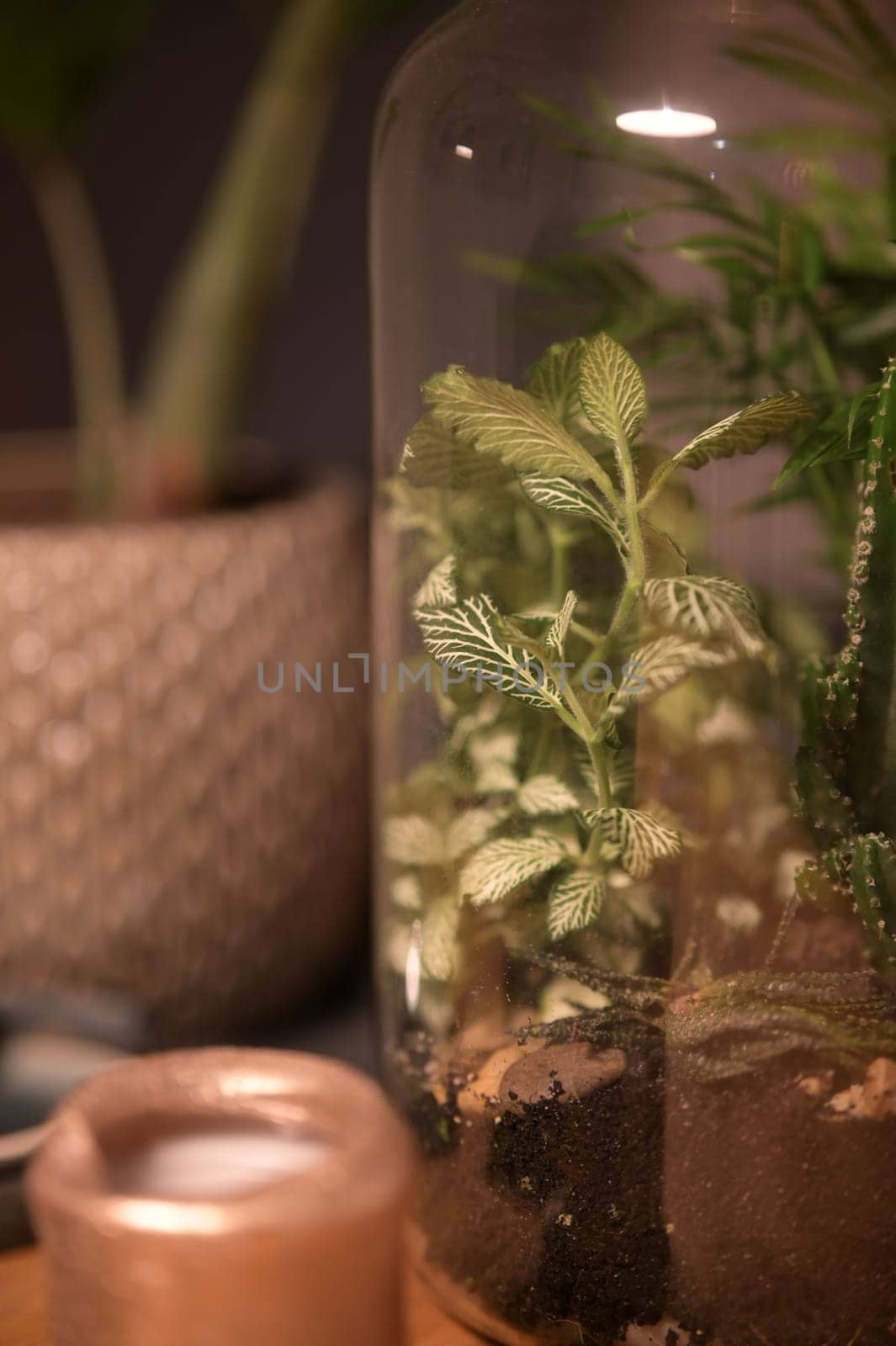 A glass jar with plants inside of it, in front of another glass container