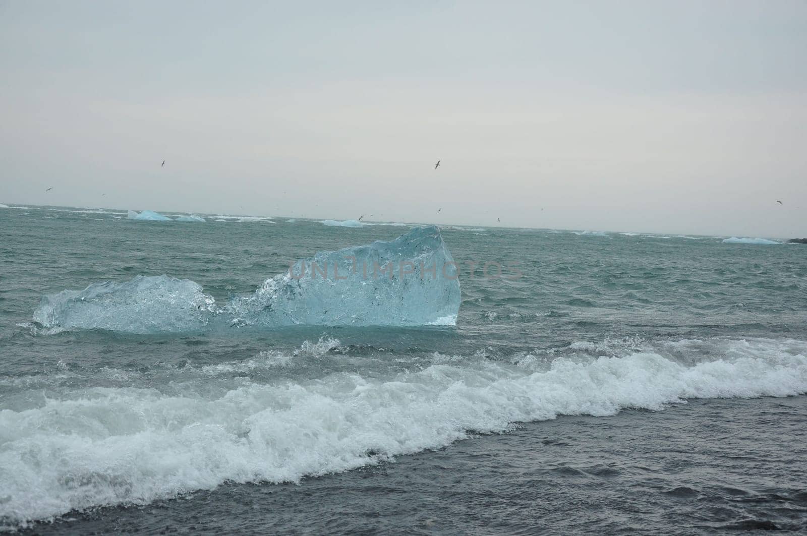 Crystal clear ice chunks floating on the waves of Diamond beach in Fellsfjara,Jokulsarlon on Iceland