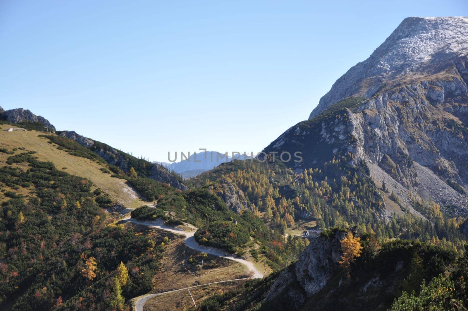 Small mountain pasture in the mountains around Berchtesgaden, near the Jenner mountain, Bavaria