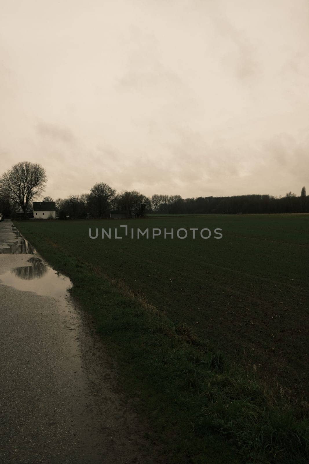 Road with puddles leading to a single house in a field on a bad weather day in Meerbusch, Germany