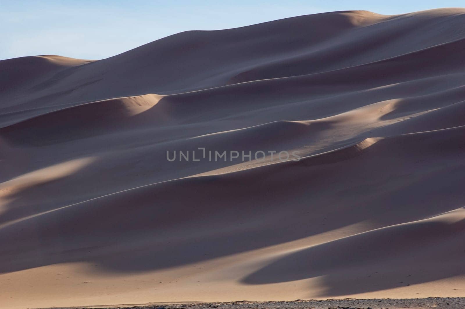 The orange dunes of the libyan Sahara desert



















