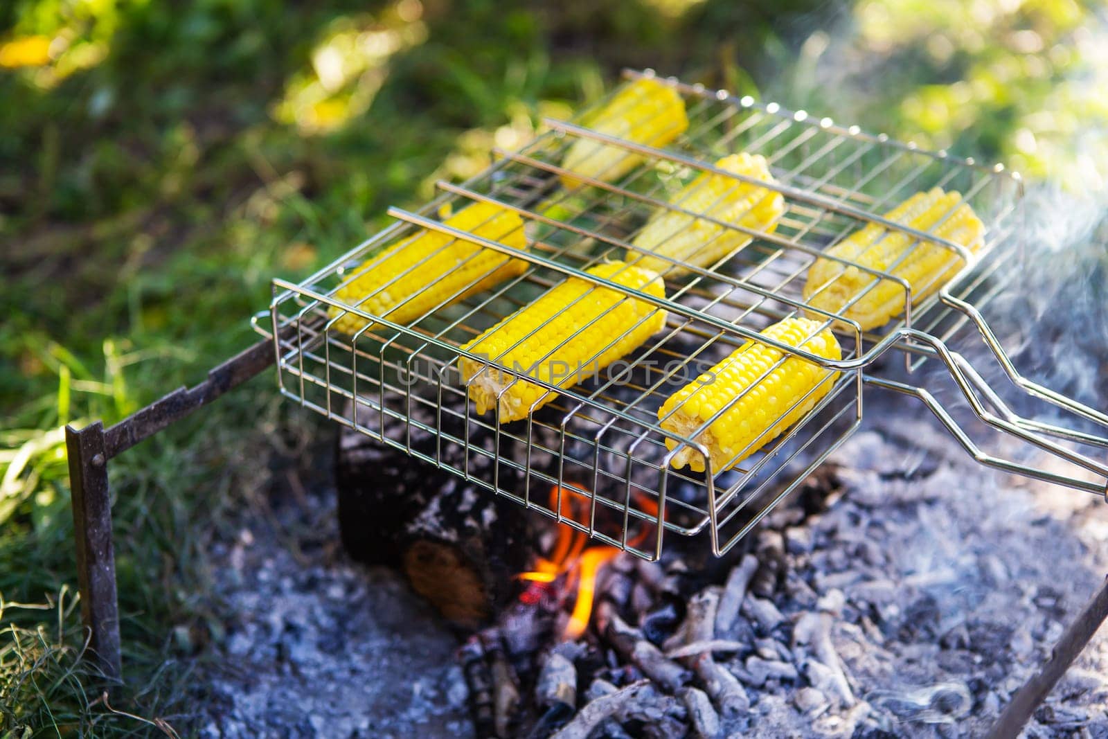 Fried corncobs of yellow juicy corn cooked on a wire rack. Outdoor recreation. by sfinks