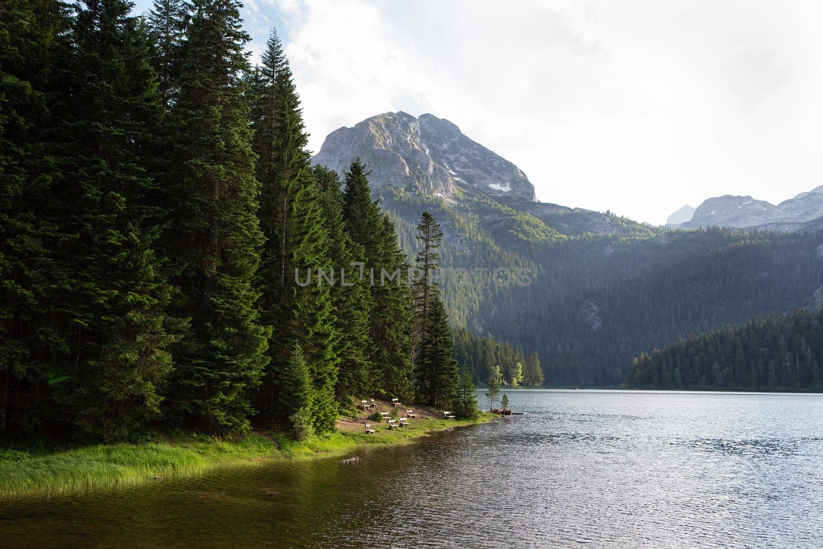 Mountain landscape, Durmitor National Park, Montenegro. Beautiful view of the lake benches near the lake in a beautiful forest