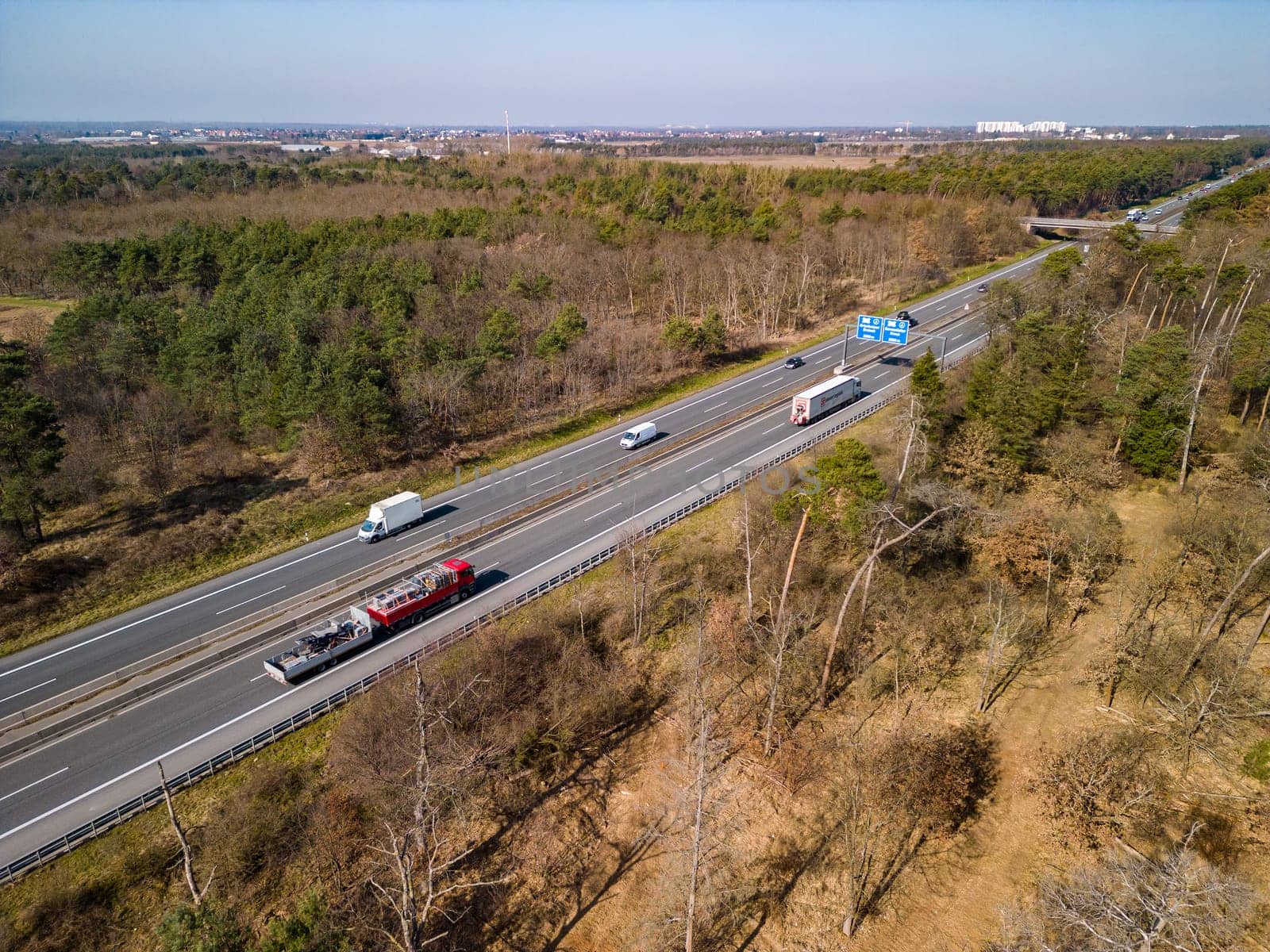 Forest dieback in the Hessian Ried at the highway A67 near Darmstadt, spruce trees are diseased and damaged by drought and insects
