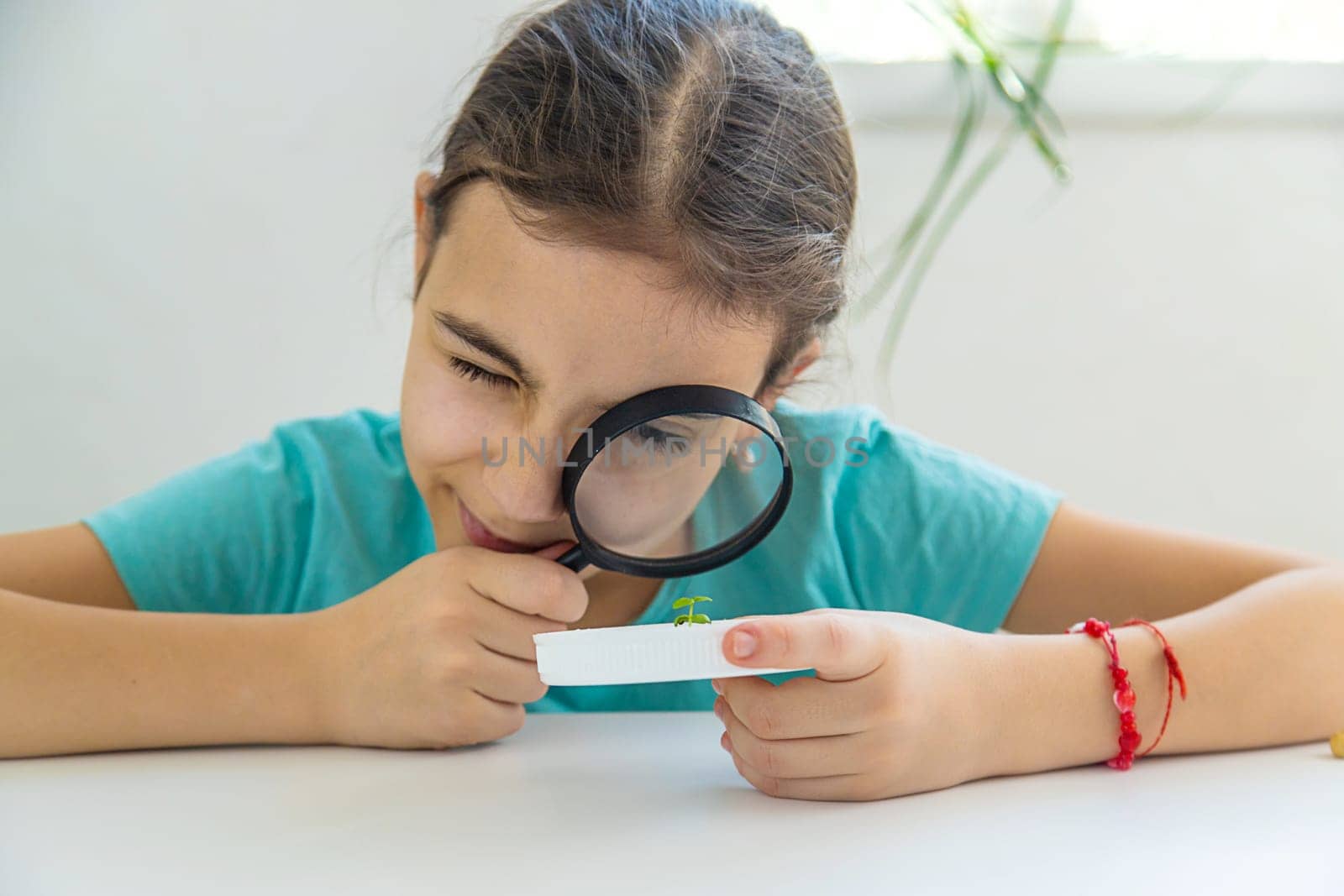 A child examines a plant under a magnifying glass. Selective focus. by yanadjana