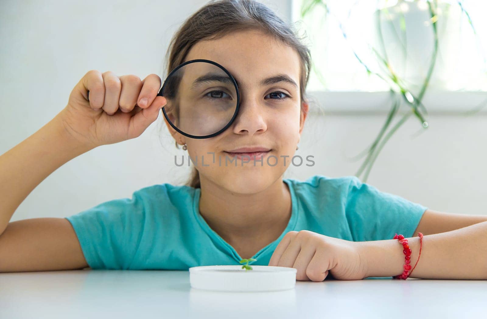 A child examines a plant under a magnifying glass. Selective focus. by yanadjana