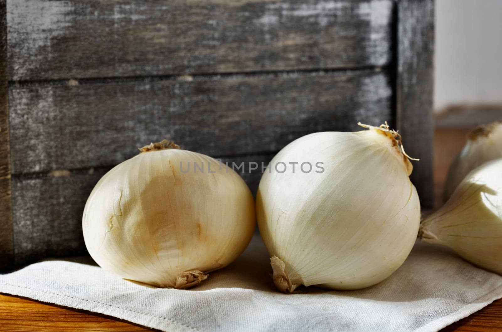 Fresh white onions in wooden table , agricultural occupation