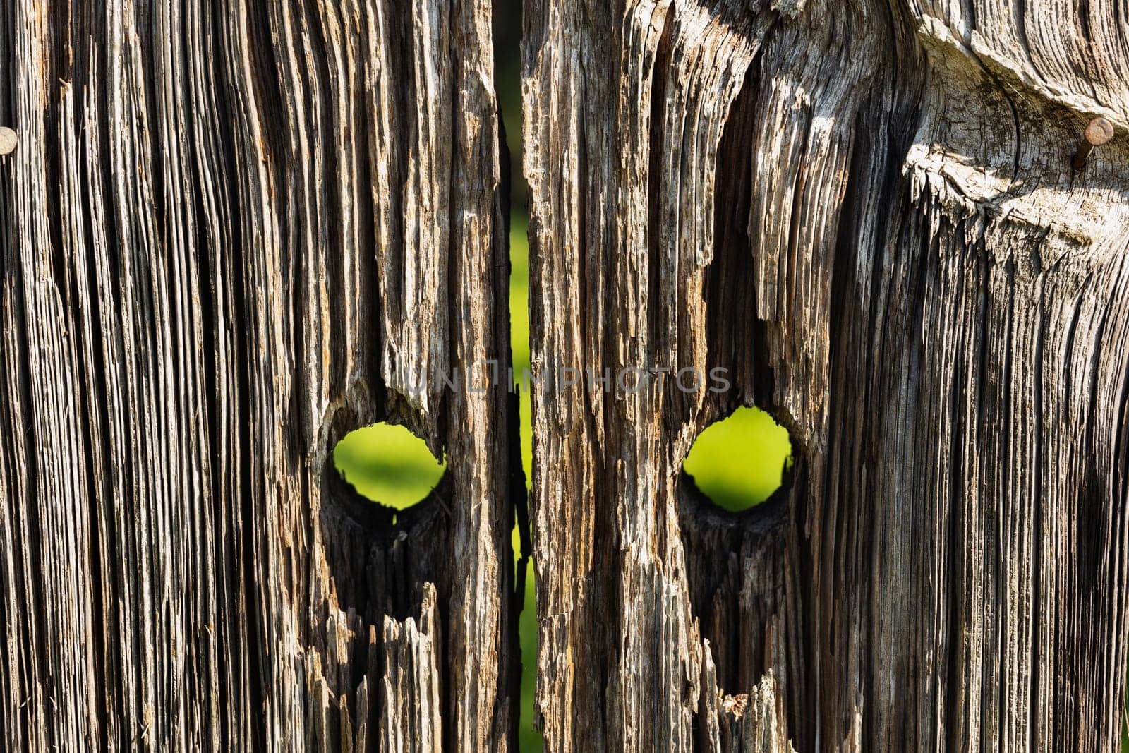 Detail of old wooden gate in countryside ,ruined wooden planks 