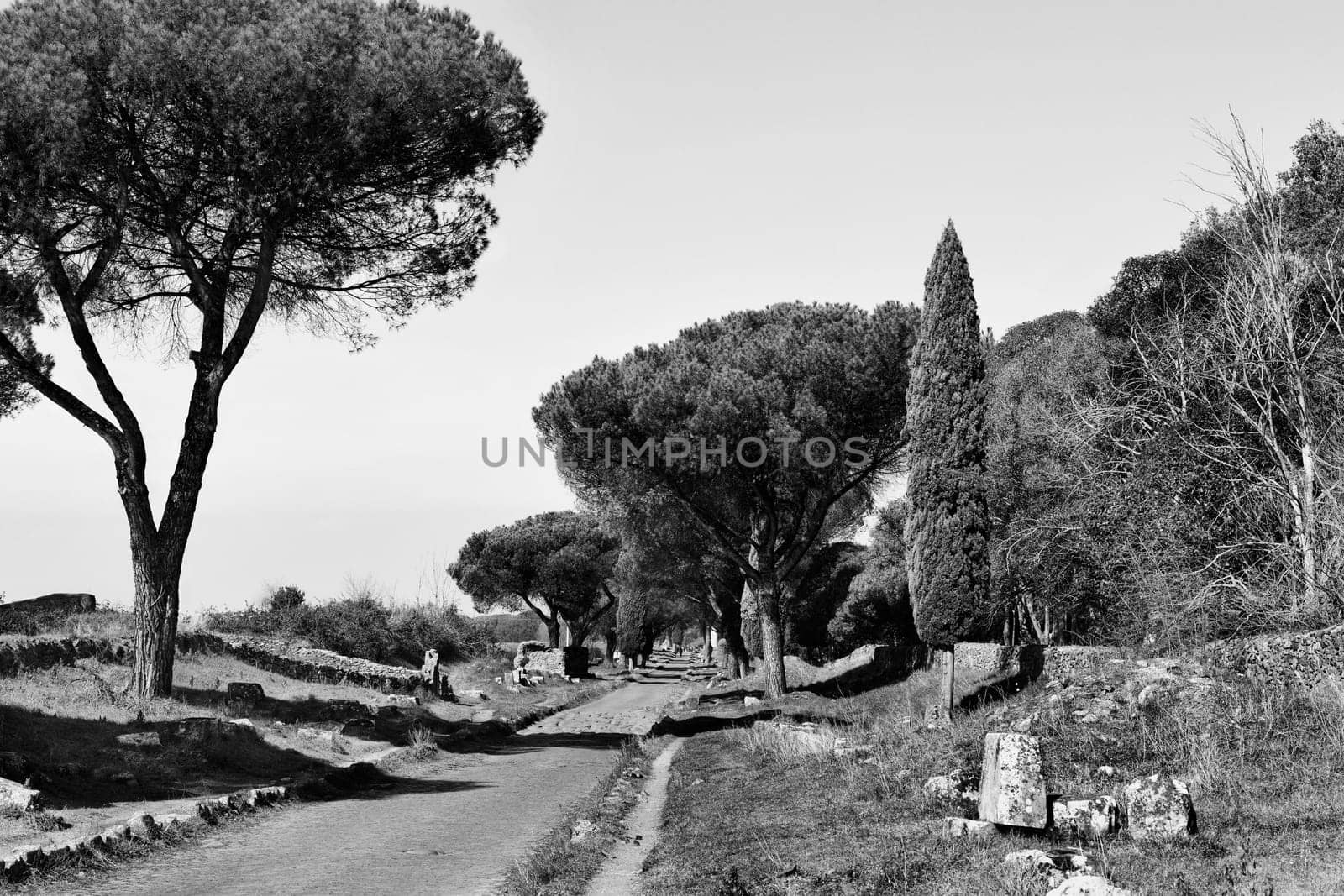 Italy , Rome , the Appian Way -Via Appia - one of the most important Roman roads of the ancient republic