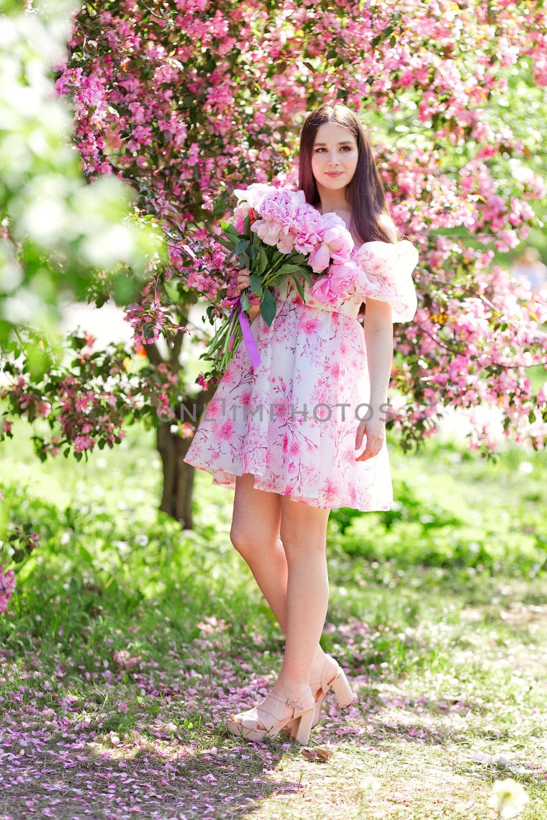 A beautiful brunette in a light pink dress, with a large bouquet of pink peonies, stands near pink blooming apple trees, in summer in the garden on a sunny day. Copy space. Vertical