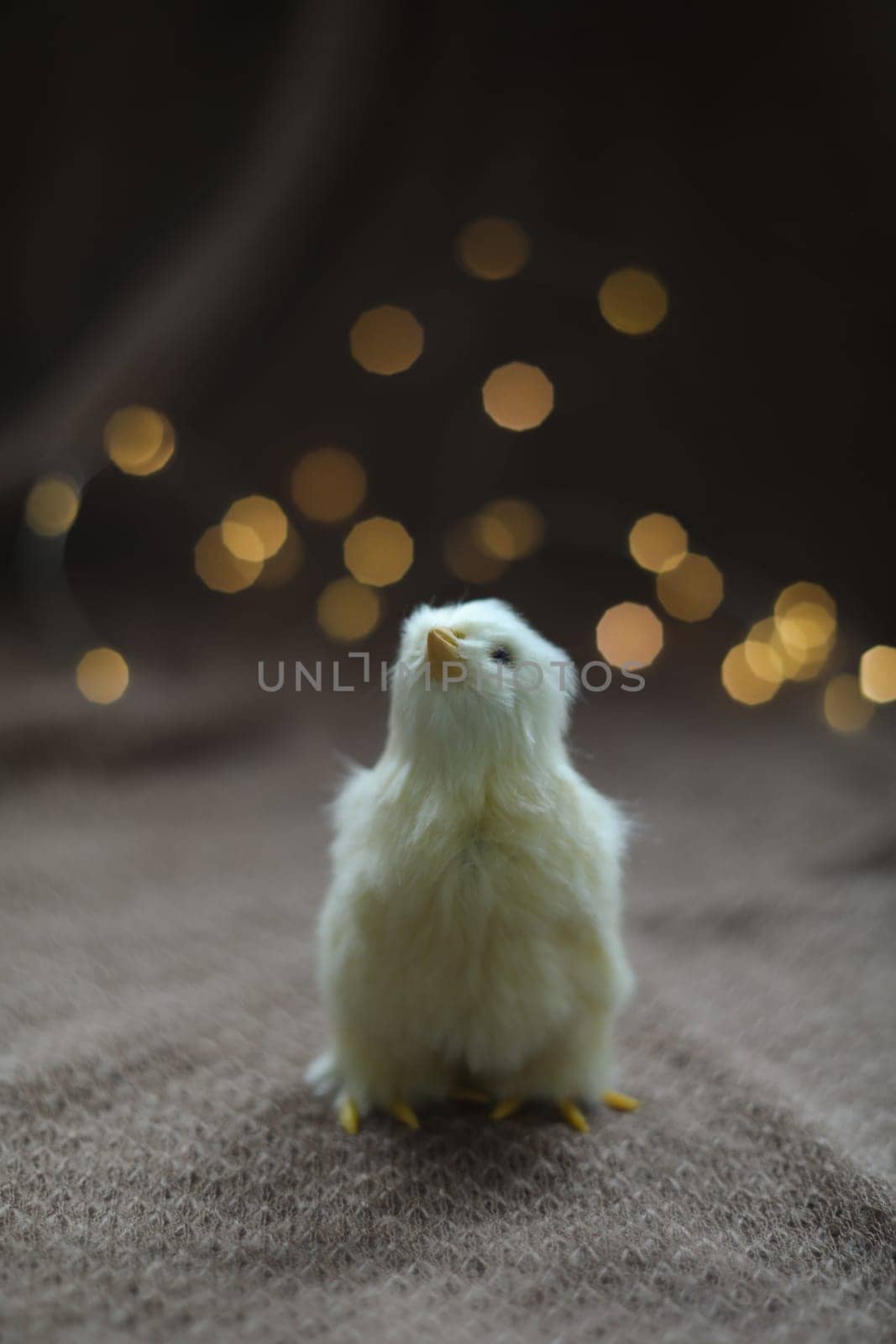 Close-up of a small yellow chicken. Easter card with a copy space. Spring Easter decor. Template for design. copy space. Wallpaper or Banner against blurred festive lights by paralisart
