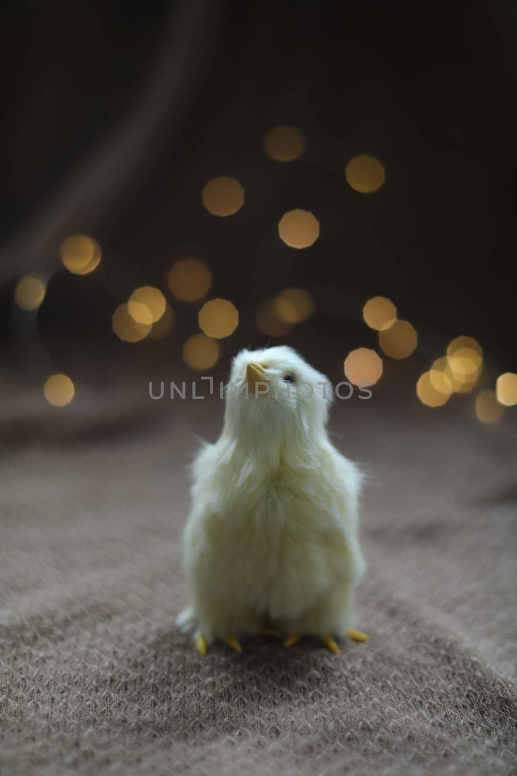 cute decorative Easter chicken on abstract blurred white background. festive composition for Easter holiday, spring season. template for design. copy space.