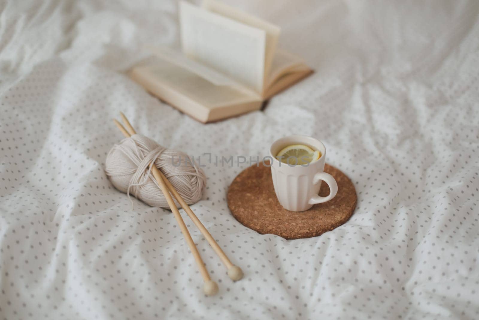 Cozy still life interior details with a book, tea cup and knitting needles in warm soft bed. Sweet home by paralisart