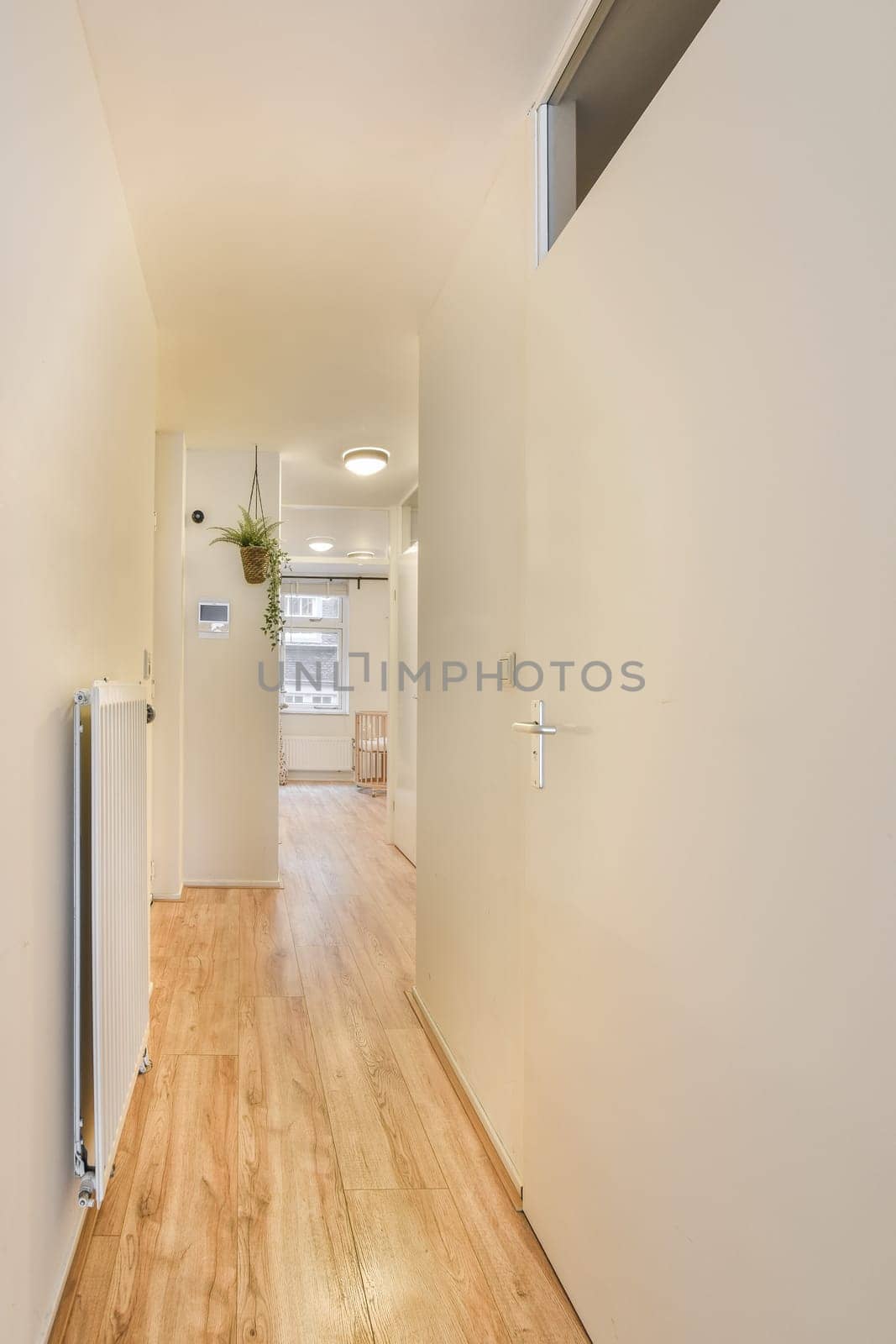 an empty room with wood flooring and white walls on either side, there is a plant in the corner