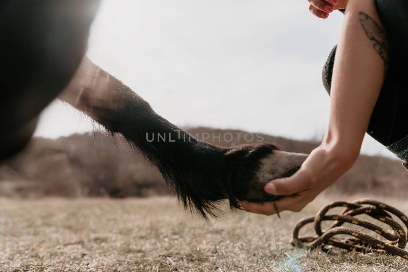 Cute happy young woman with horse. Rider female drives her horse in nature on evening sunset light background. Concept of outdoor riding, sports and recreation.