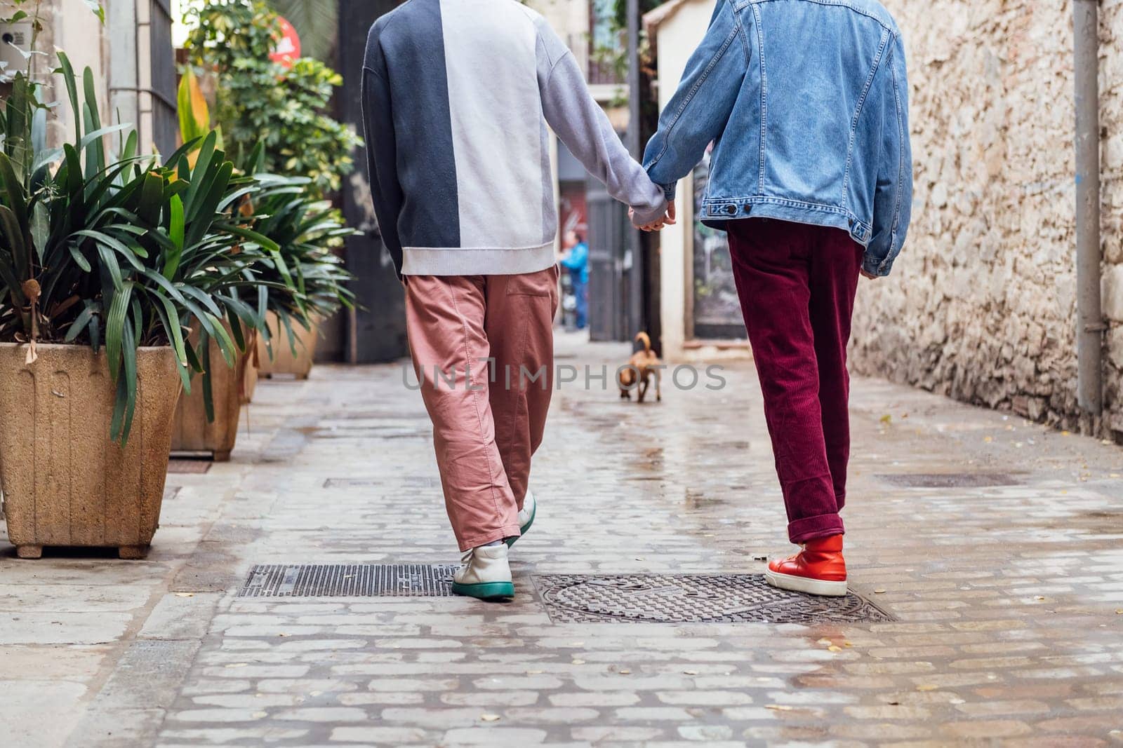unrecognizable gay male couple walking with his dog along a beautiful ancient street decorated with plants, concept of leisure and love between people of the same sex